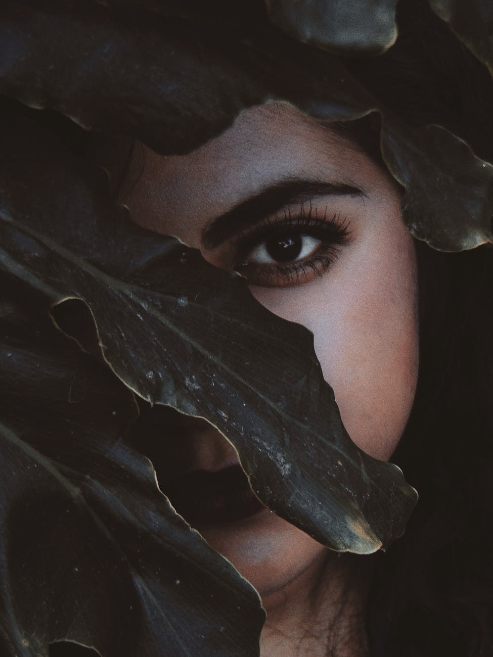 woman s face behind the leaf close up photo